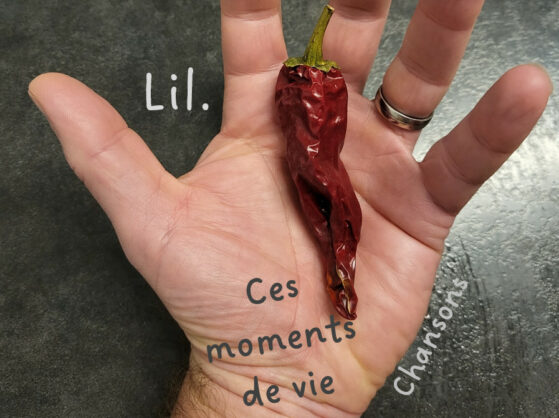 Album chansons Ces moments de vie Lil